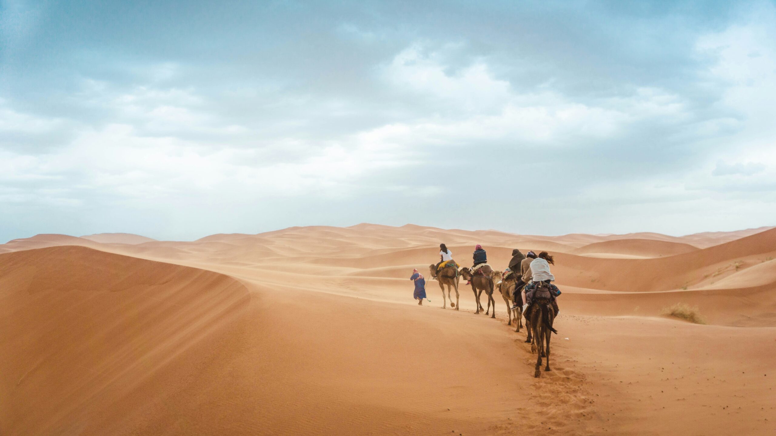 Camel caravan crossing Sahara dunes