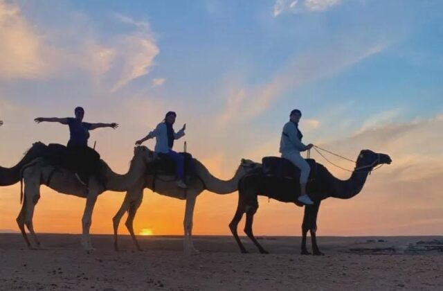 Agafay Desert Dinner & Show: Magical Moroccan Evening from MarrakechDetail