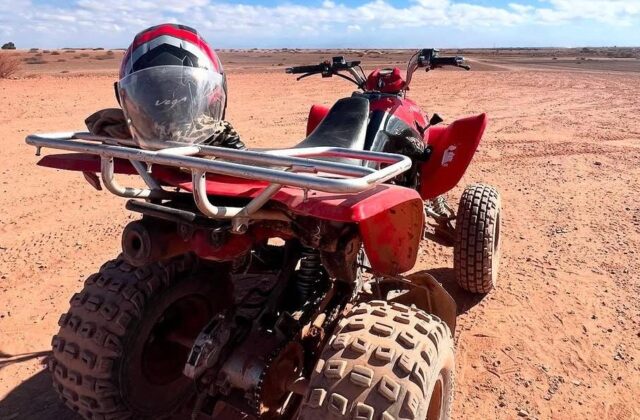 Palmeraie Adventure: Quad Biking & Camel Ride in Marrakech