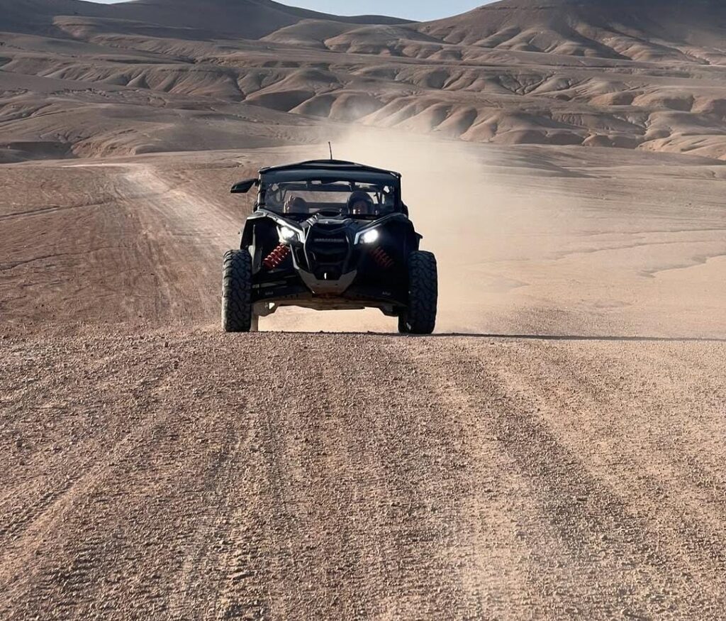 Palmeraie Buggy Ride Adventure